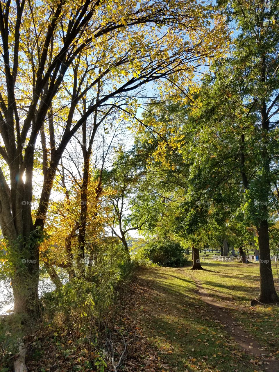 Autumn lake