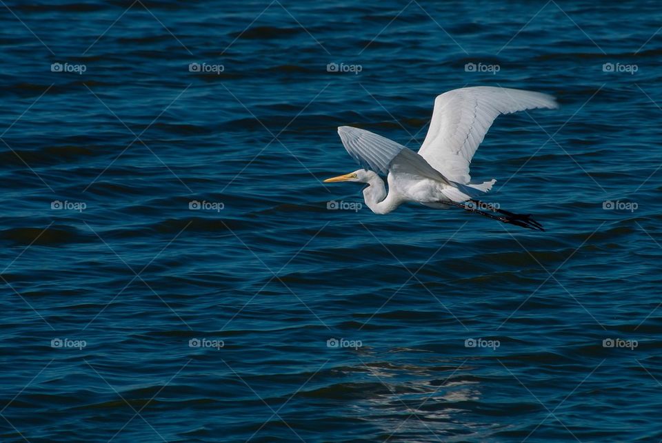 Heron in-flight 3