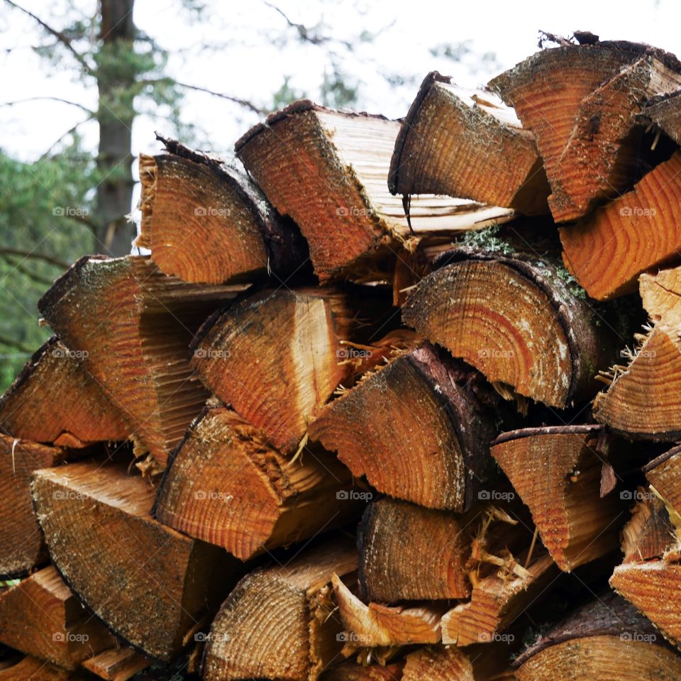Fire wood