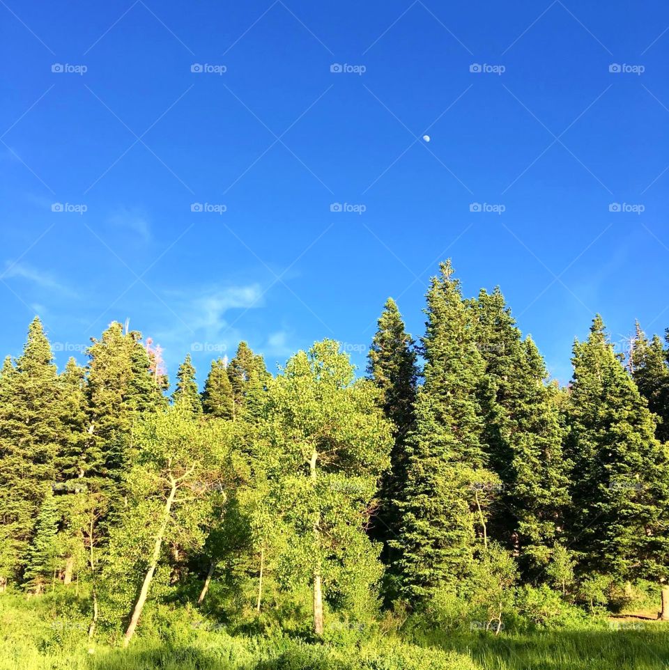 Moon during the day. Somewhere in Utah.