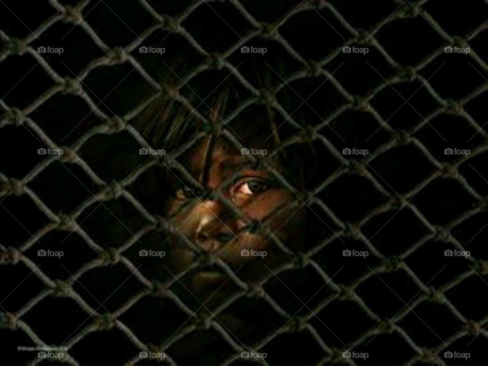 Cage, Jail, Fence, Web, Barbed Wire