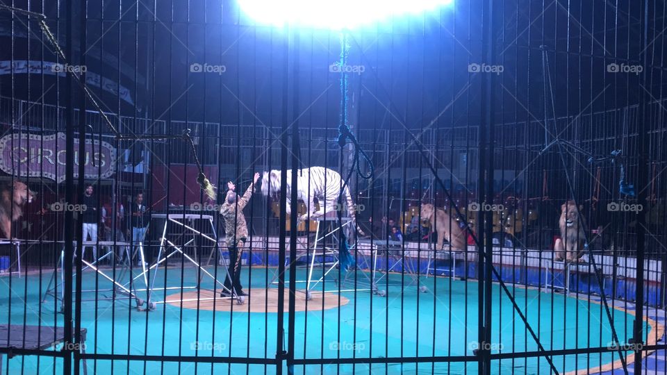 circus