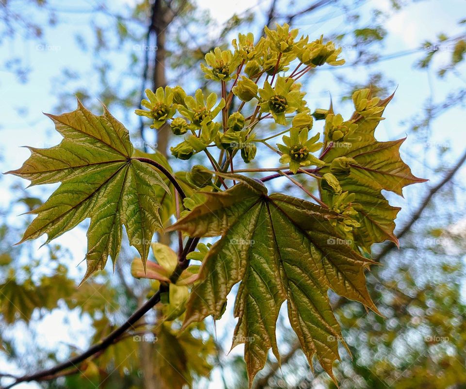 Awakening of nature💚The beginning of spring💚