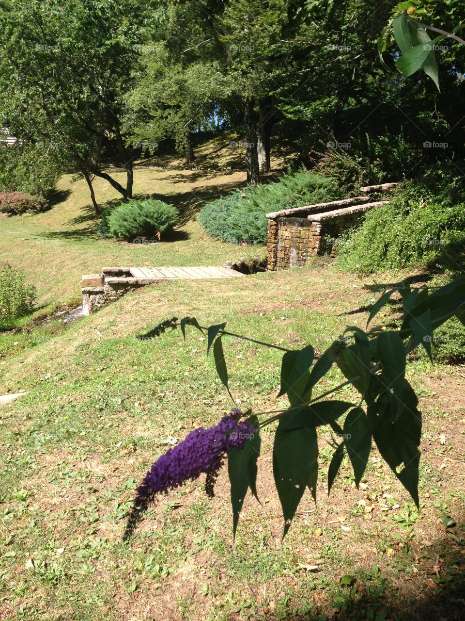 Parco dell'Orecchiella Alta Garfagnana Lucca