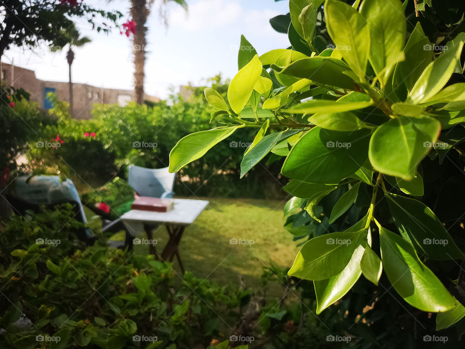 The memories of summer.