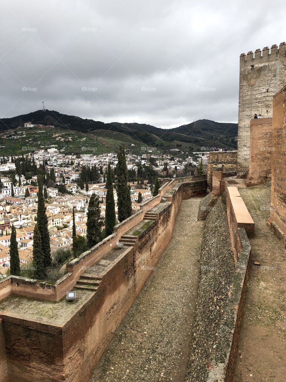 Views from La Alhambra 