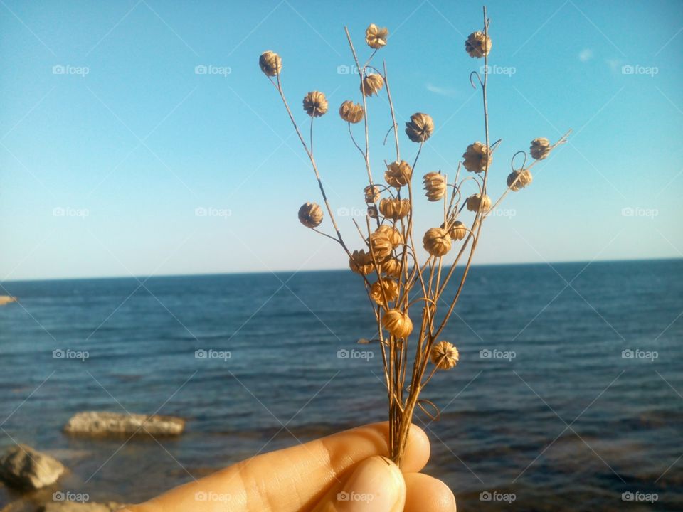 Water, Summer, Sea, Beach, Sky