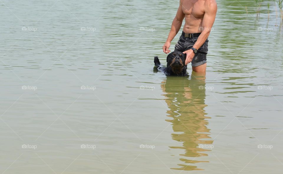 person and dog in water lake view from the ground