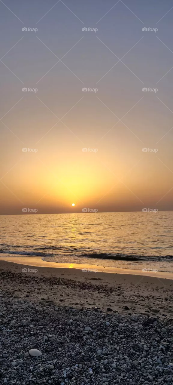 golden sea