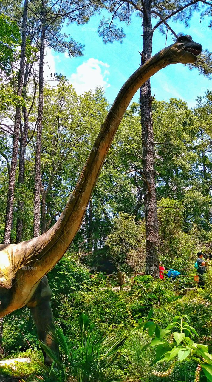 Stone Mountain Georgia