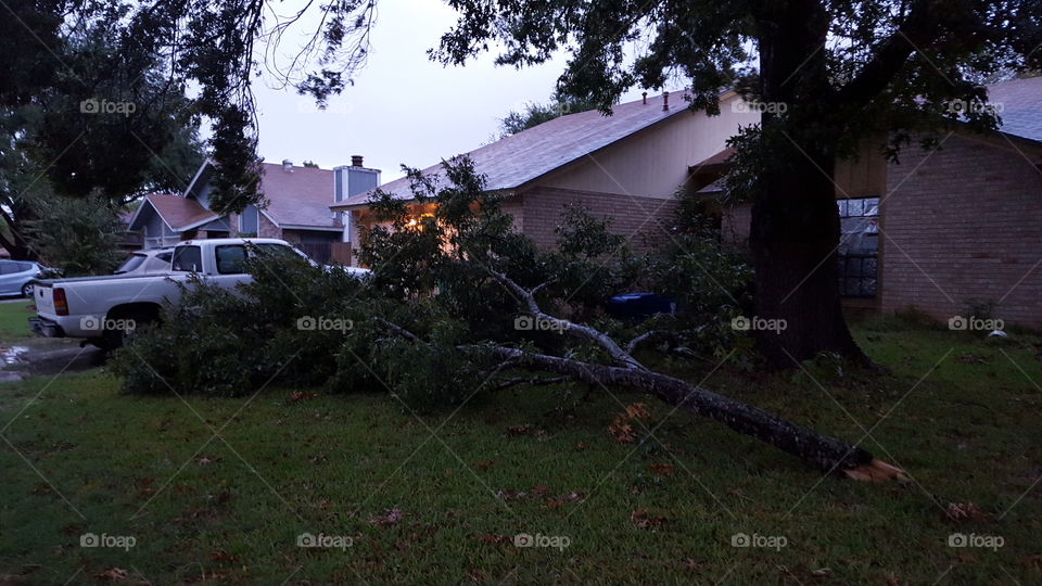Tree Storm Damage.. Storm Damage in San Antonio Texas.