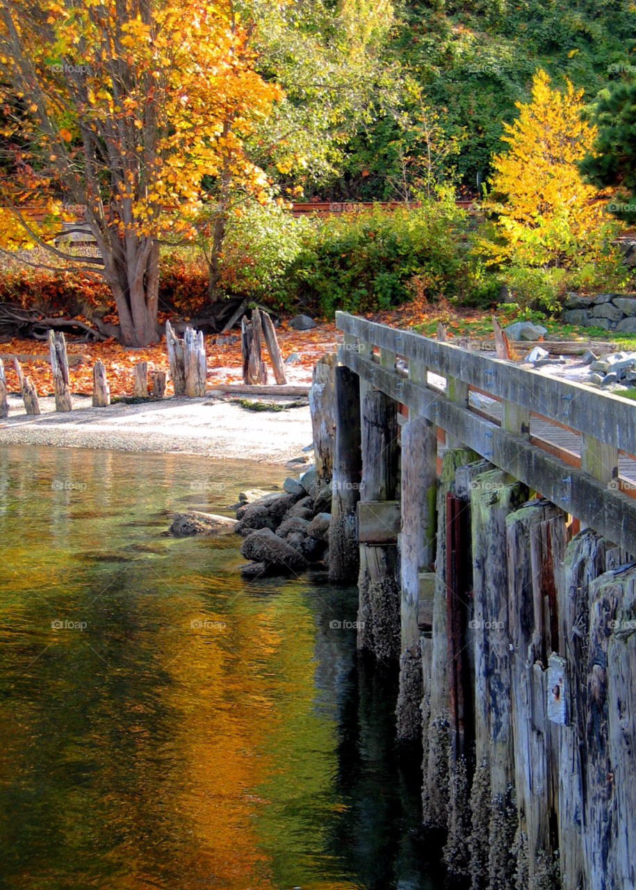 trees water park colorful by stevehardley7