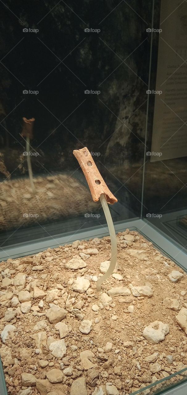 oldest music instrument