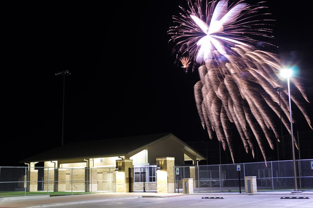 Fireworks at Night