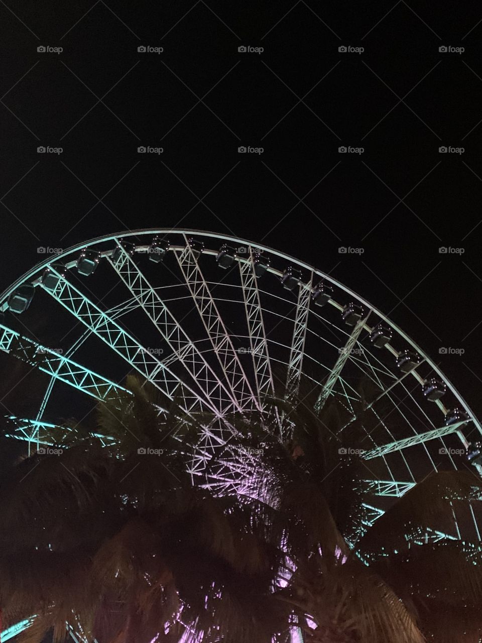 Ferris wheel at night lit up against a black night sky with palm tree leaves partially covering it