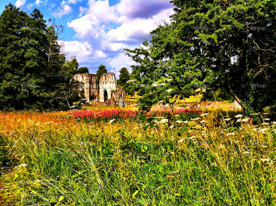 Summertime in my home town