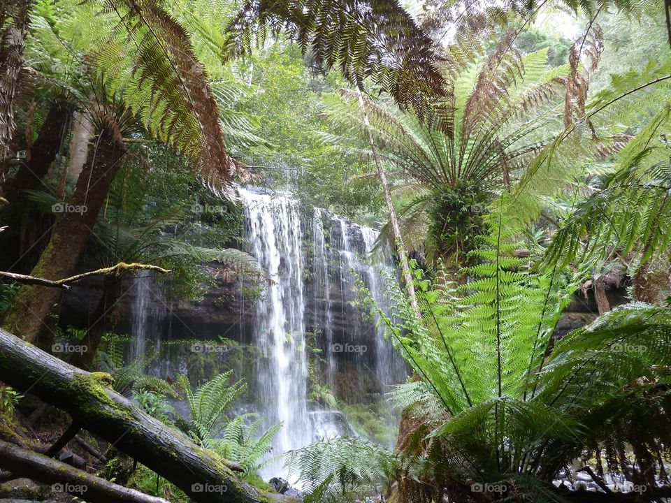 Beautiful tasmania 