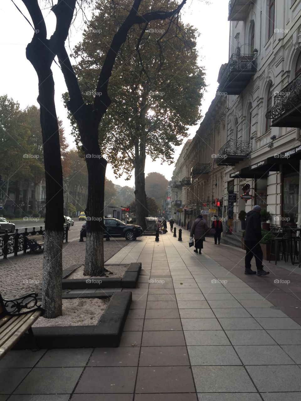 avenue tbilisi georgia