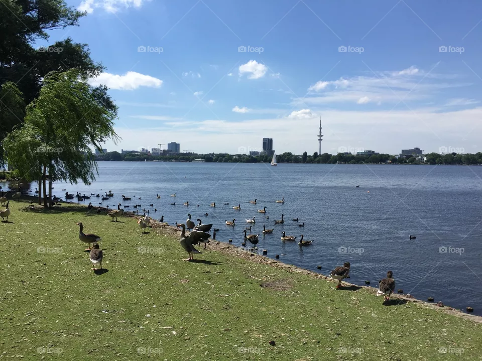 Lake