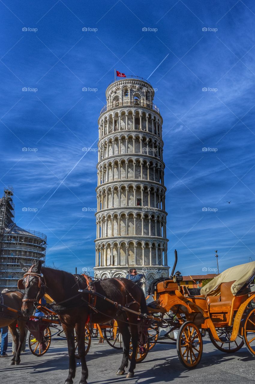 La Torre Inclinada de Pisa (Pisa - Italy)