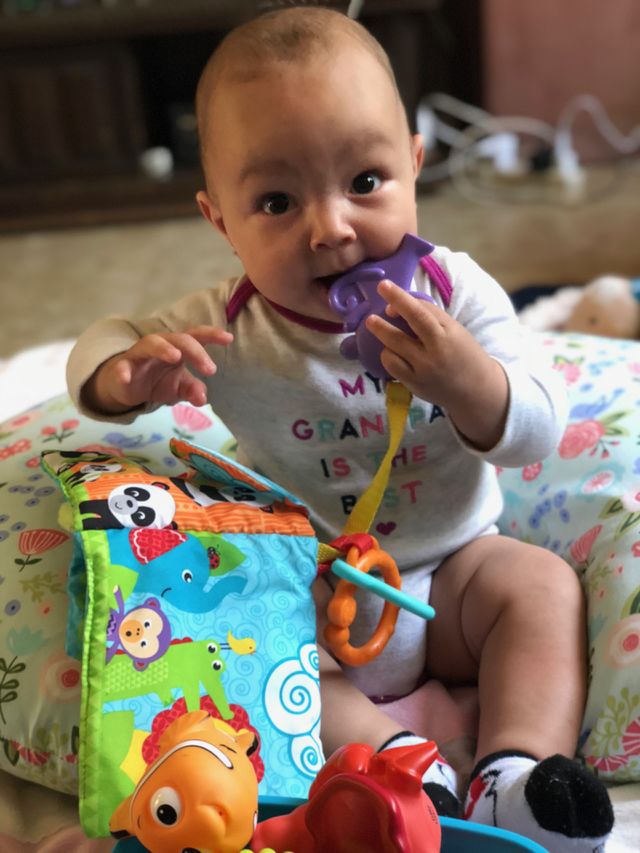 Isla