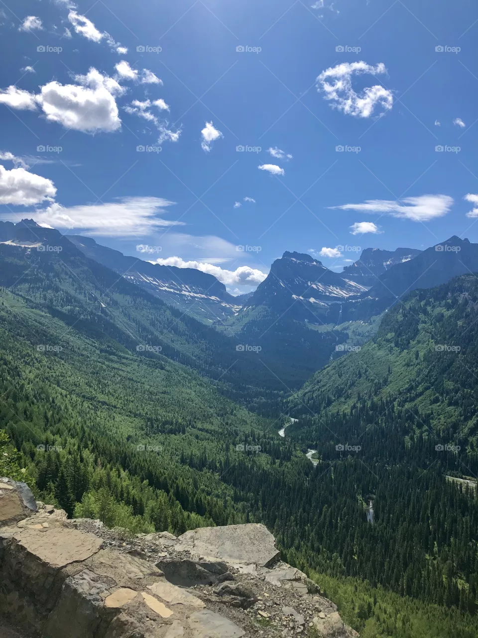 Logan Pass in Glacier National Park