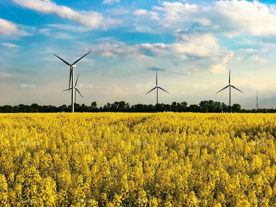 Windmill, Energy, Electricity, Wind, Farm