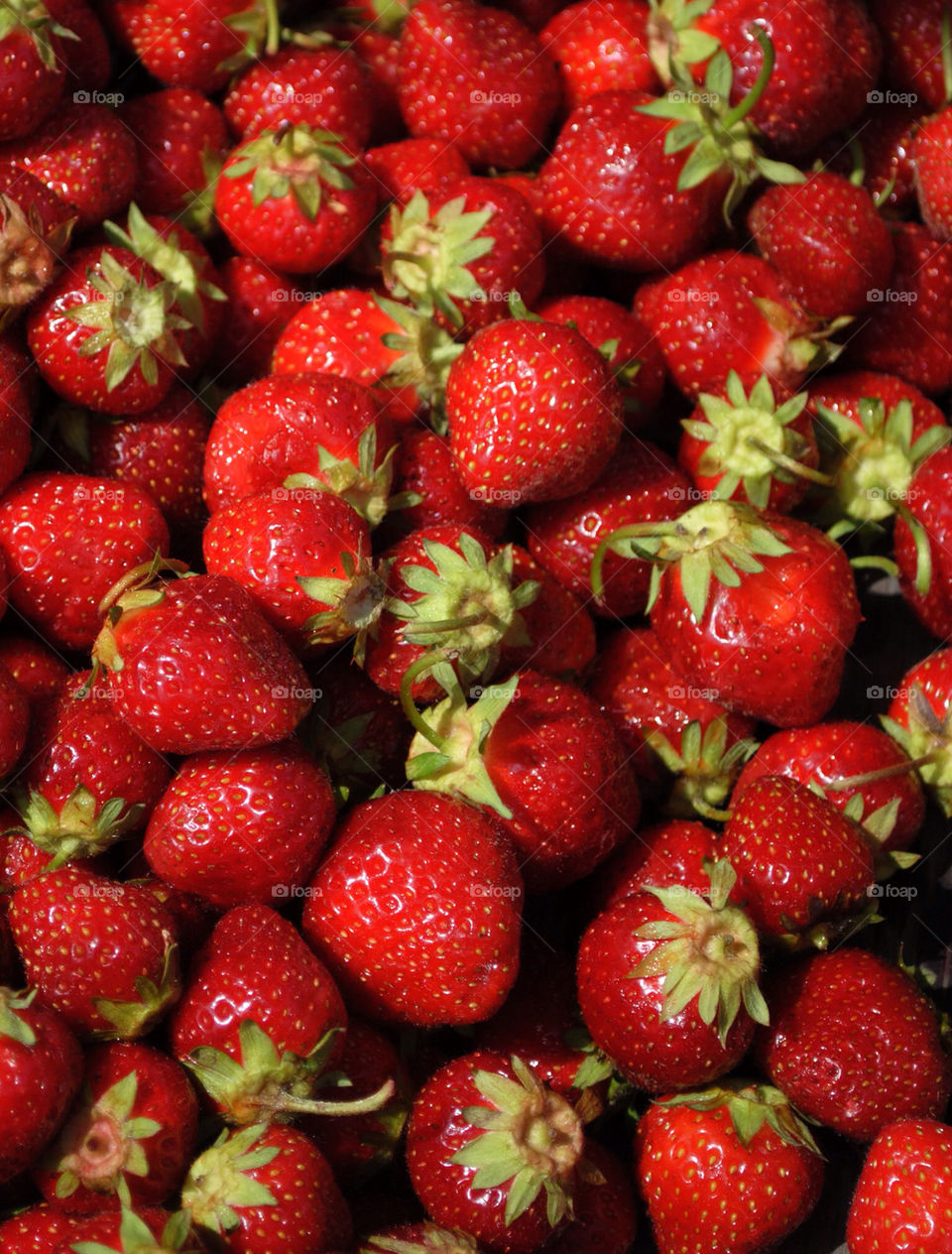 city strawberry market farmers by hiro