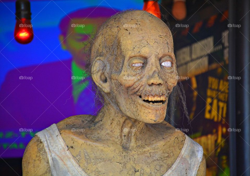 Get in the Halloween Spirit! Your closet opens very slowly with an ominous creep. You flick on the light and staring back at you is a gruesome sight. Veins galore and creepy eyes with a half wink.