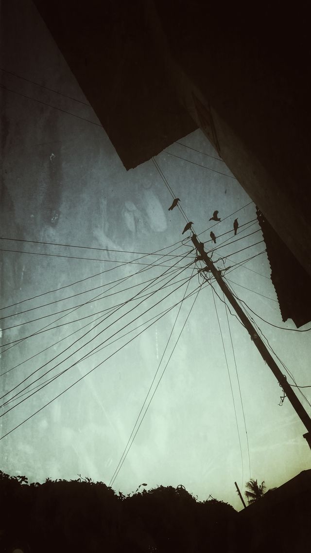 Vintage Wallpaper