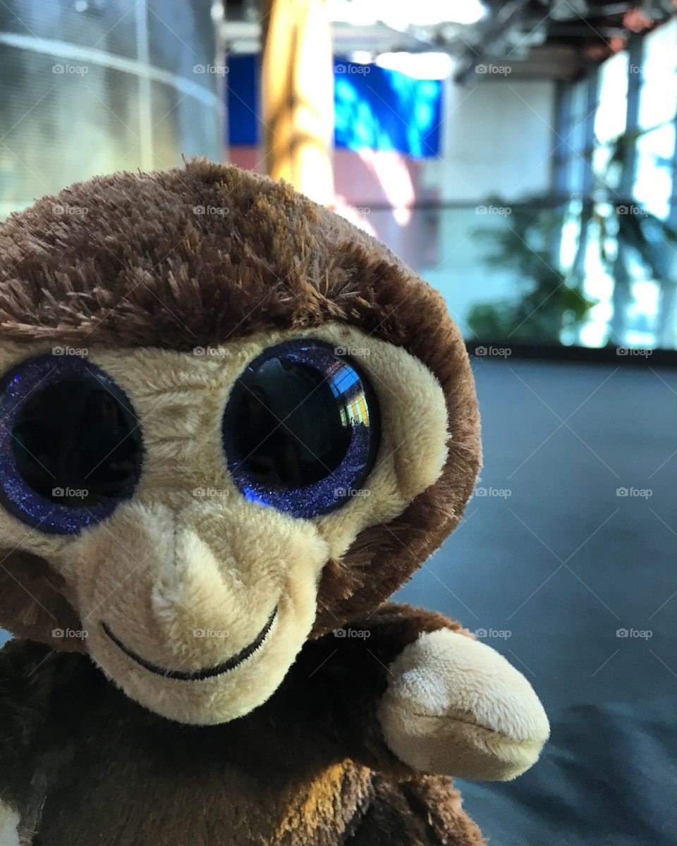 Stuffed cute monkey looking into the camera lens
