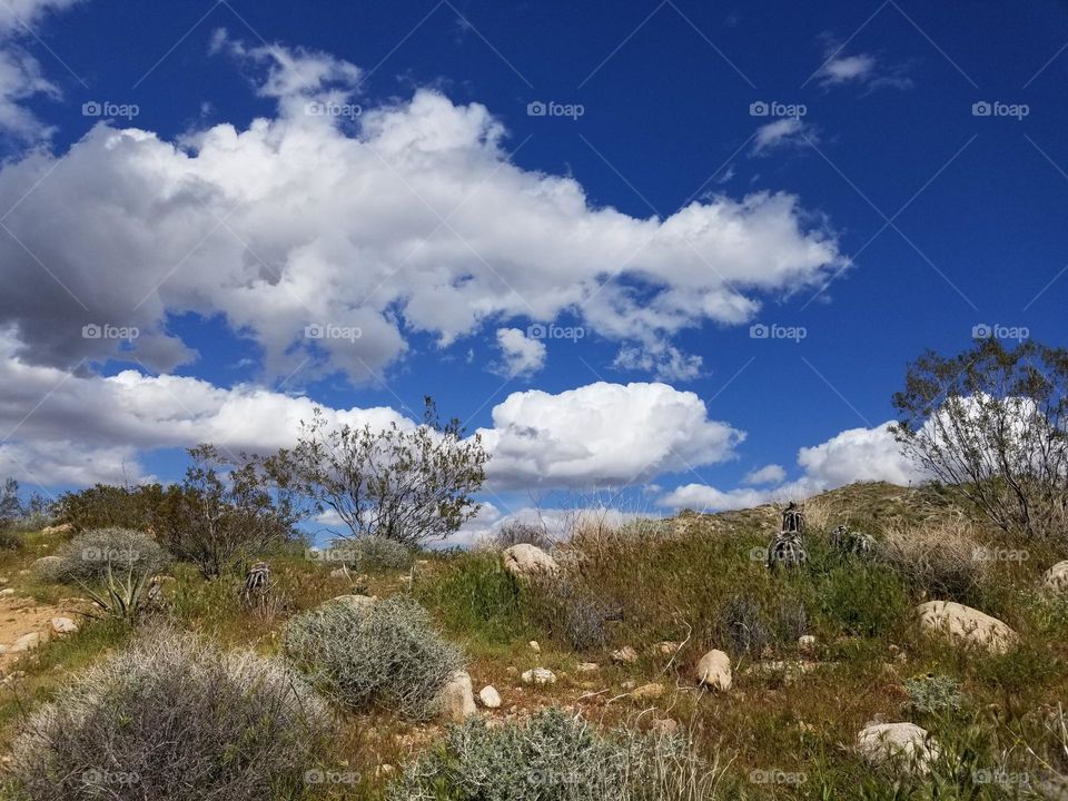 Fluffy white clouds above a hillside in the desert during springtime