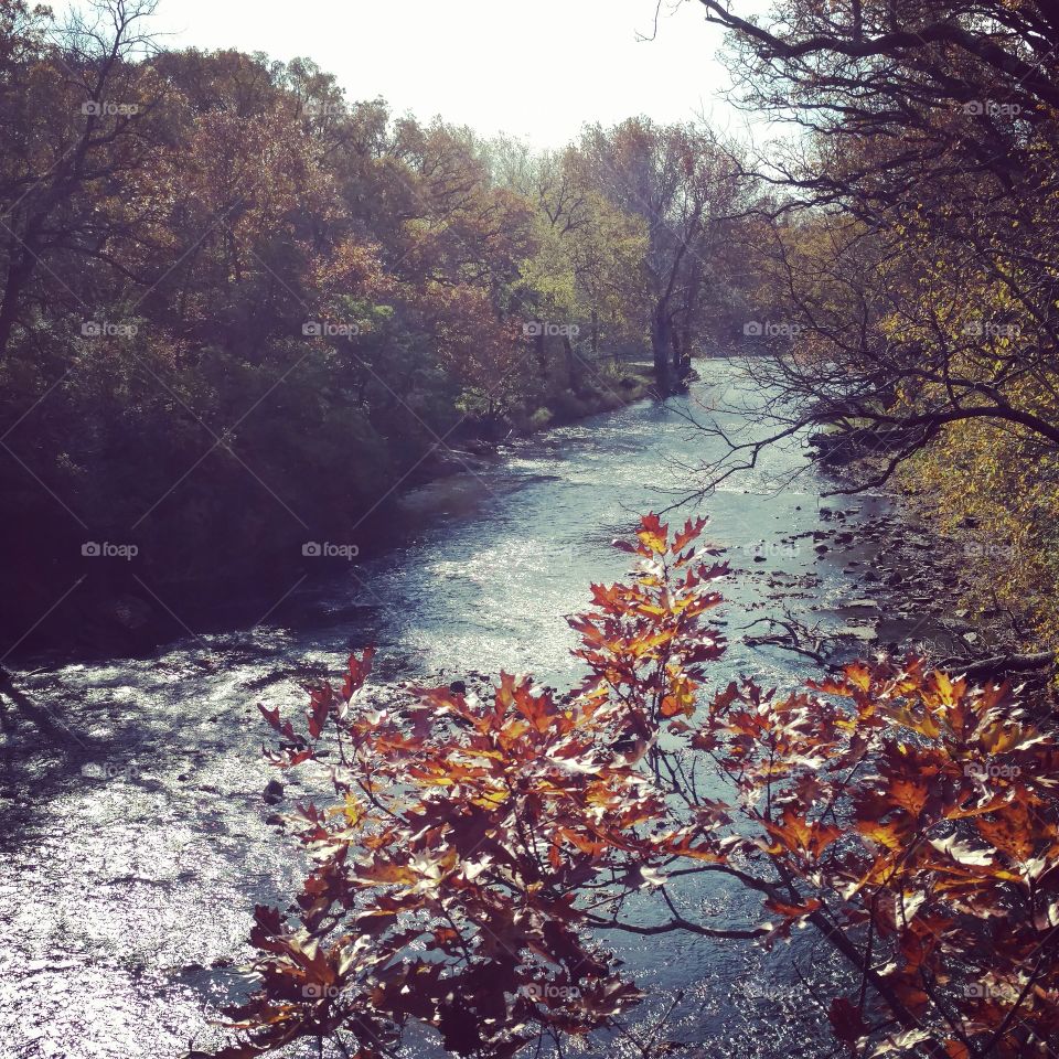 autumn creek