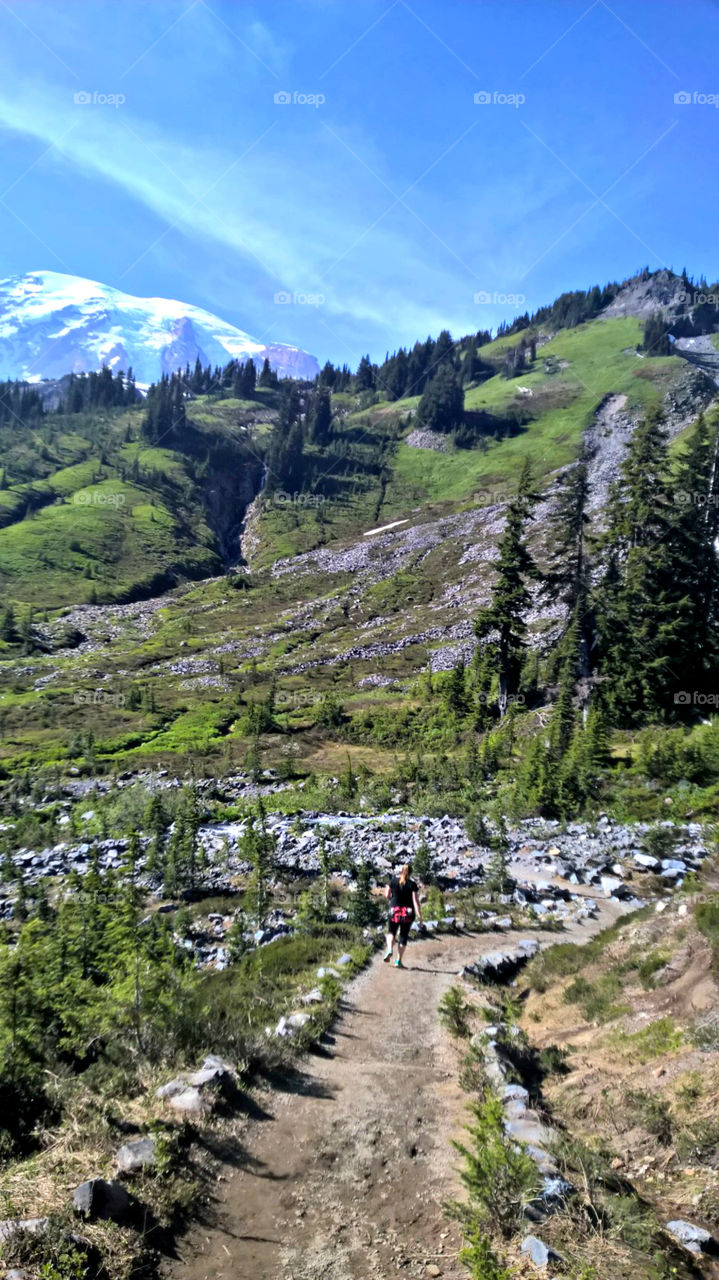Woman Hiking Skyway Trail at Mount Rainier. June 2015