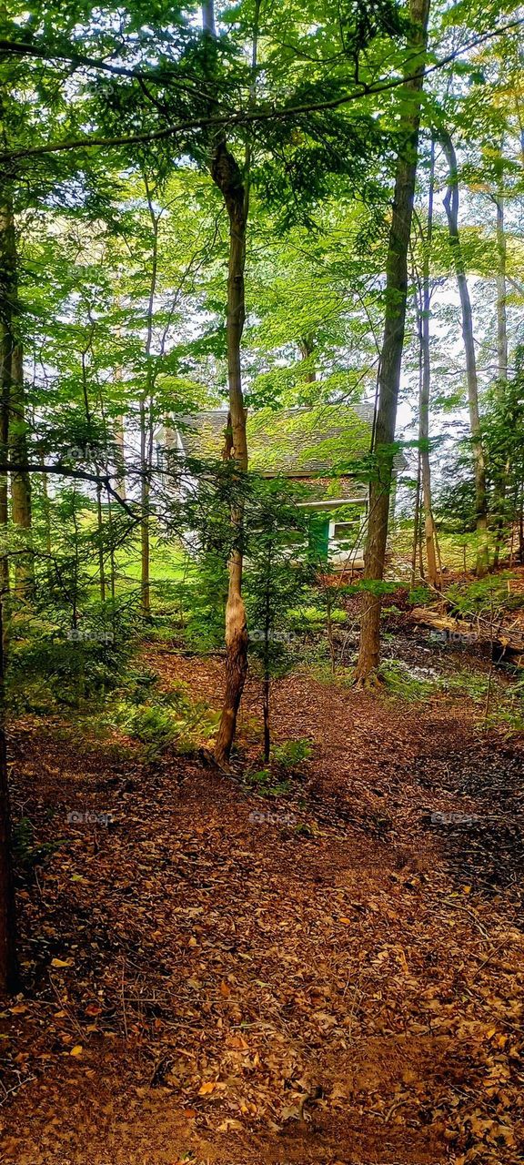 Hidden Cottage on the Lake