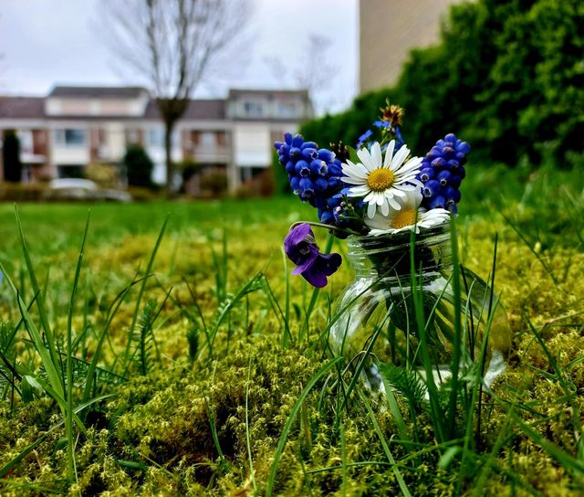 spring flowers in a vase