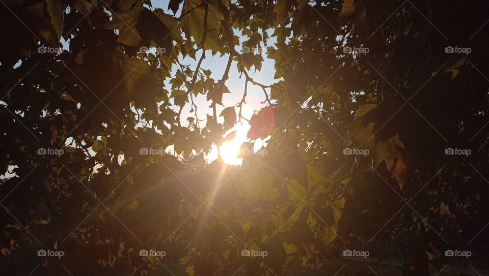 the Beauty of Nature
God is the best creator ❤️