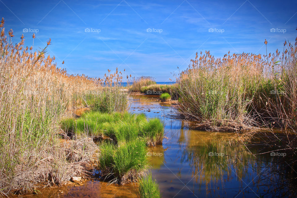 River Montt