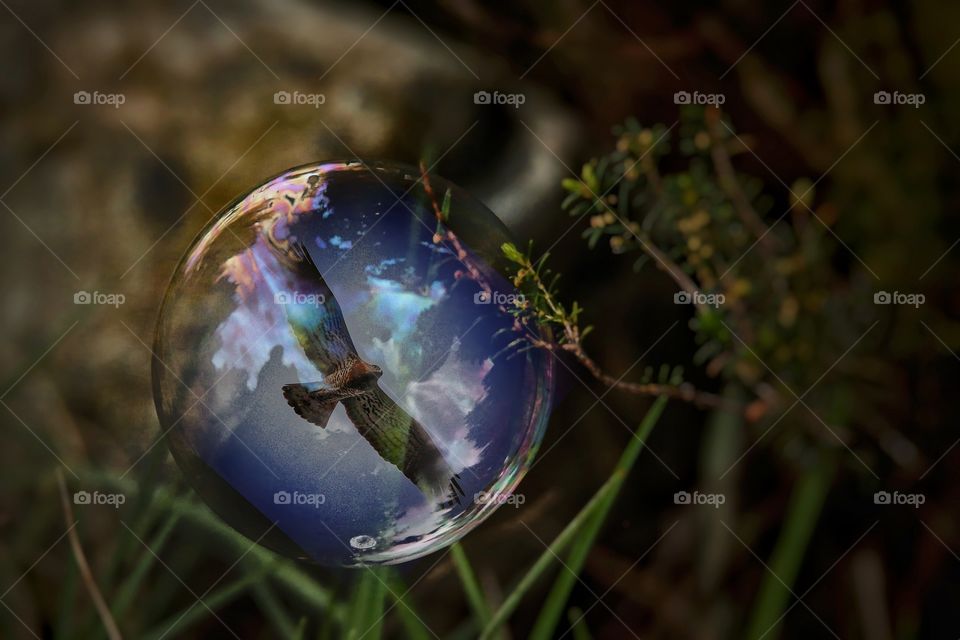 Bubbles!
