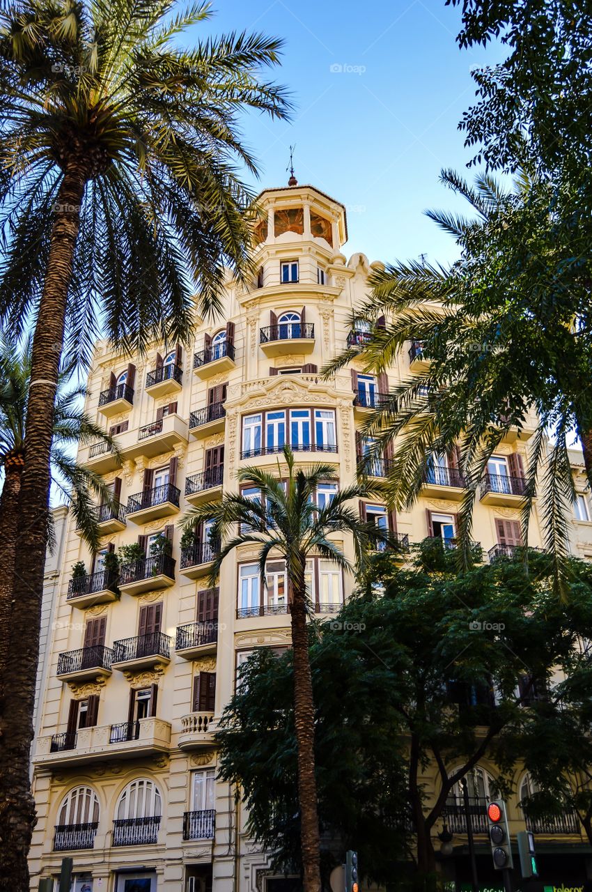 View of a building and palm tree