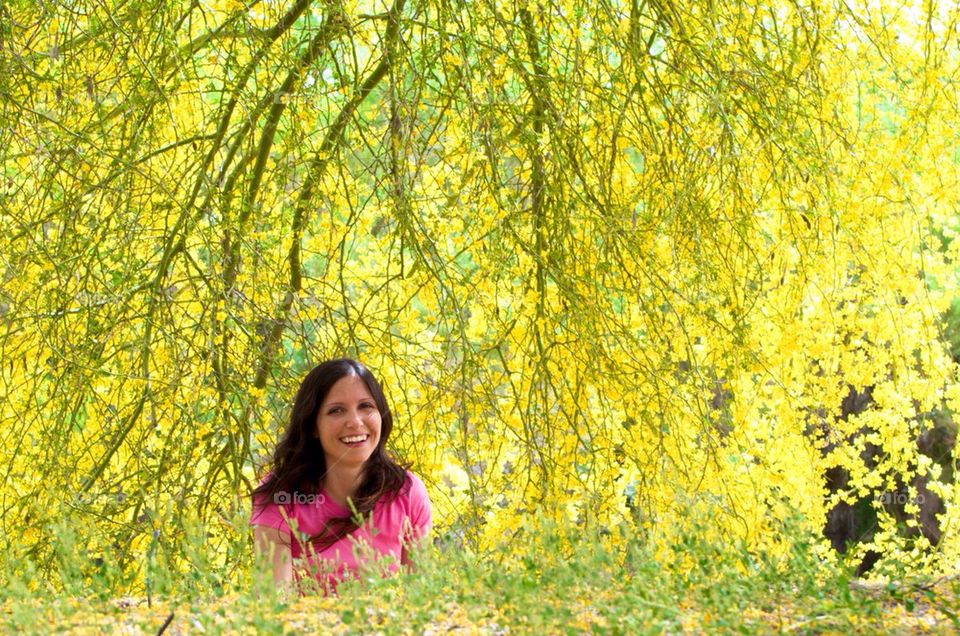 Under the Palo Verde Tree