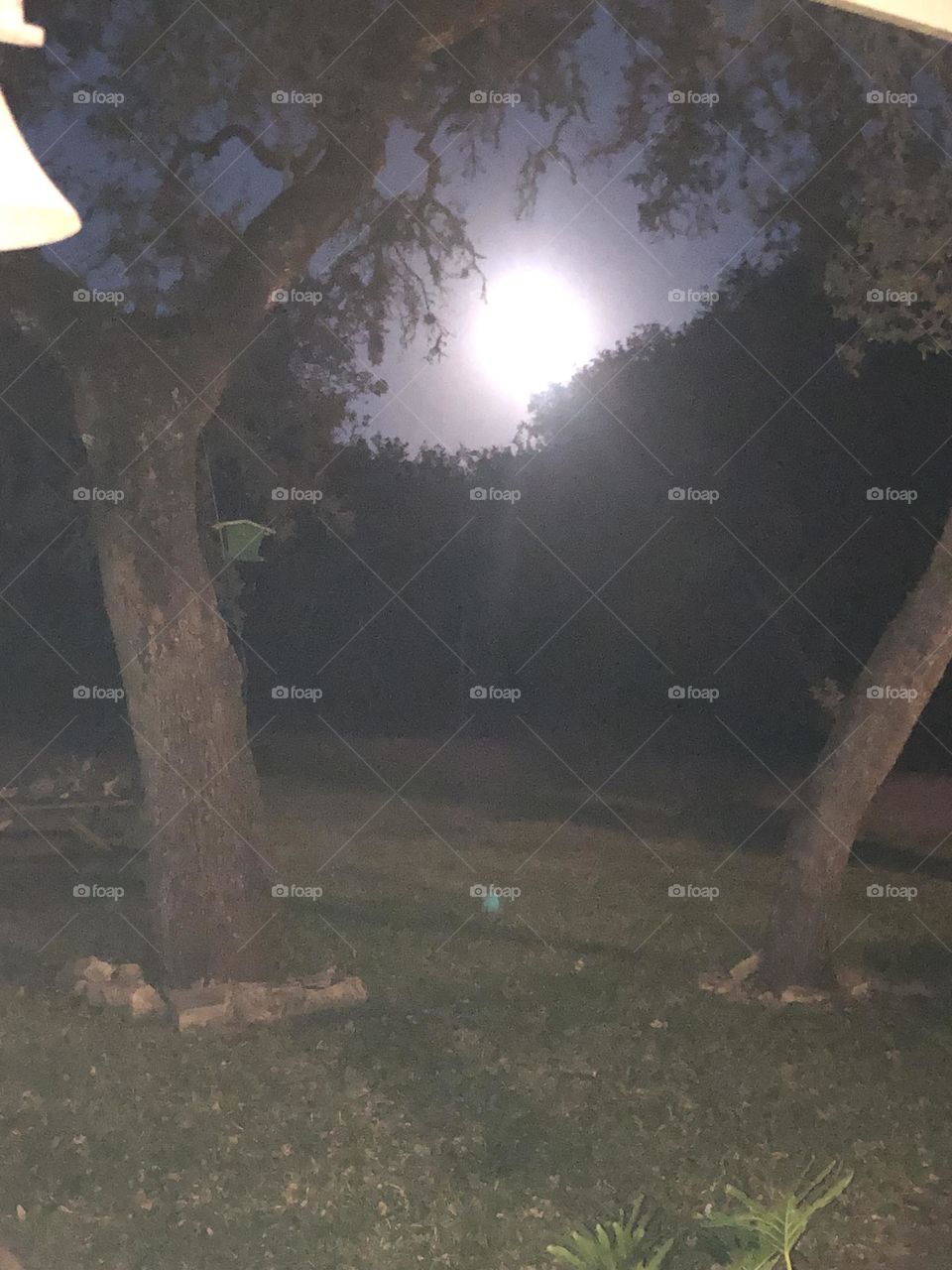 Eclipse of the moon at the ranch in TX