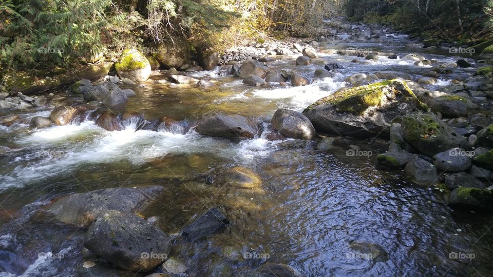 Flowing Rocky Forest River. Fresh mountain water flowing through rocky forest river