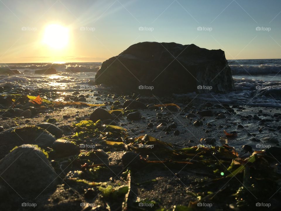 Sunset, Water, Beach, No Person, Dawn
