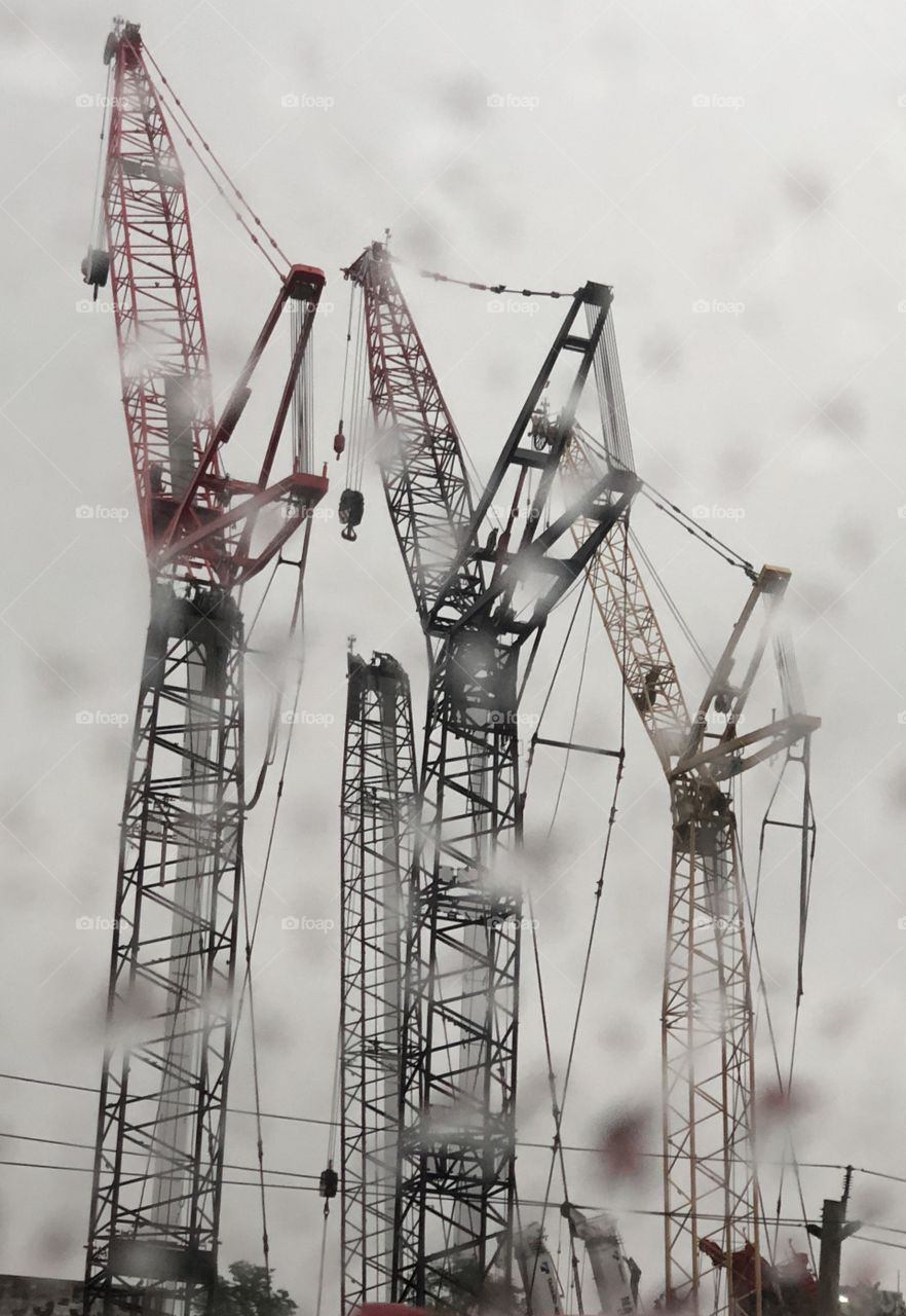 Cranes through the window