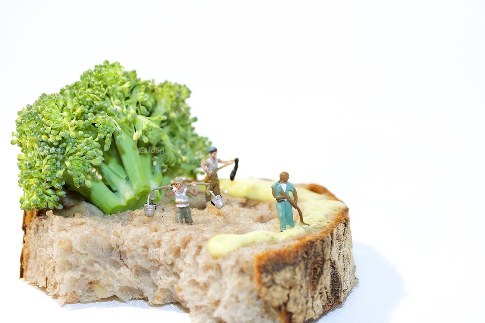 Toy people on bread with broccoli over white background