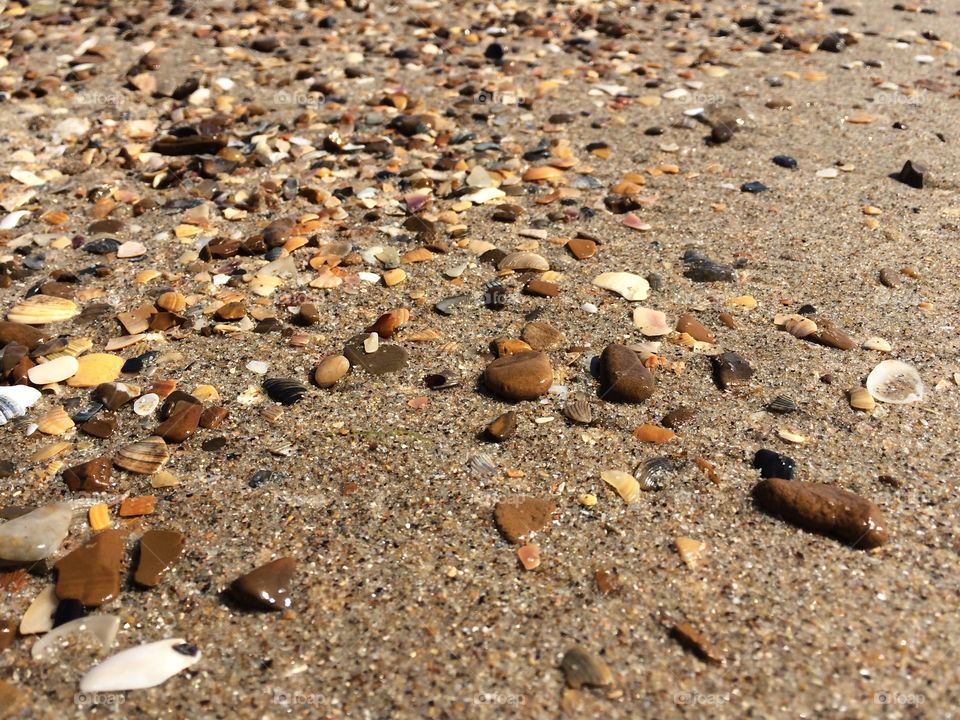 Shells and stones on a beach