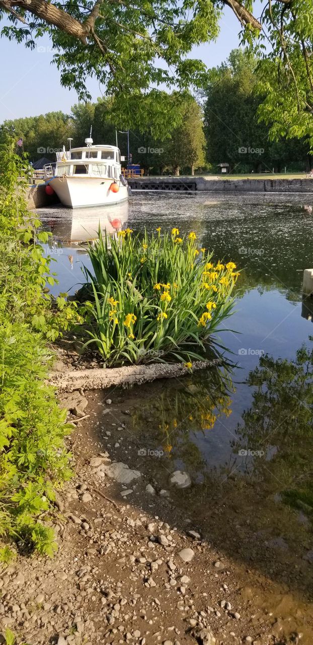 Boat And Flowers On The Erie Canal