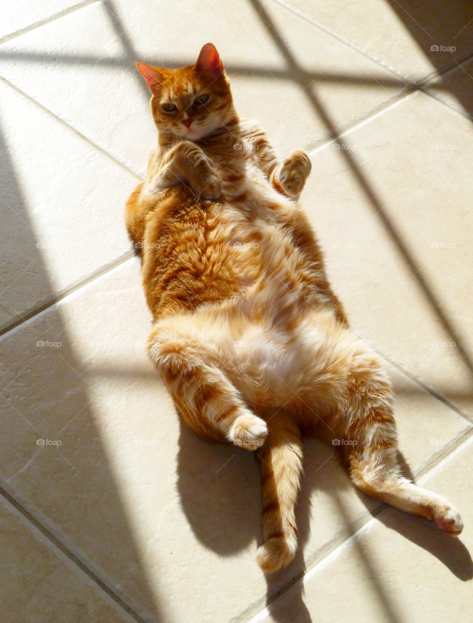 orange shadow relax house by jmsilva59