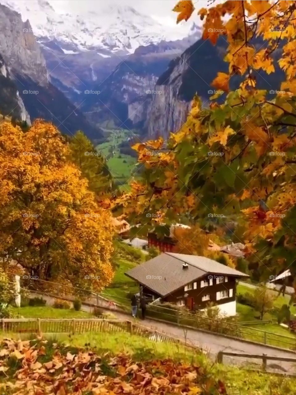 🍁🍂🍁🍂🍁🍂🧡🧡🧡